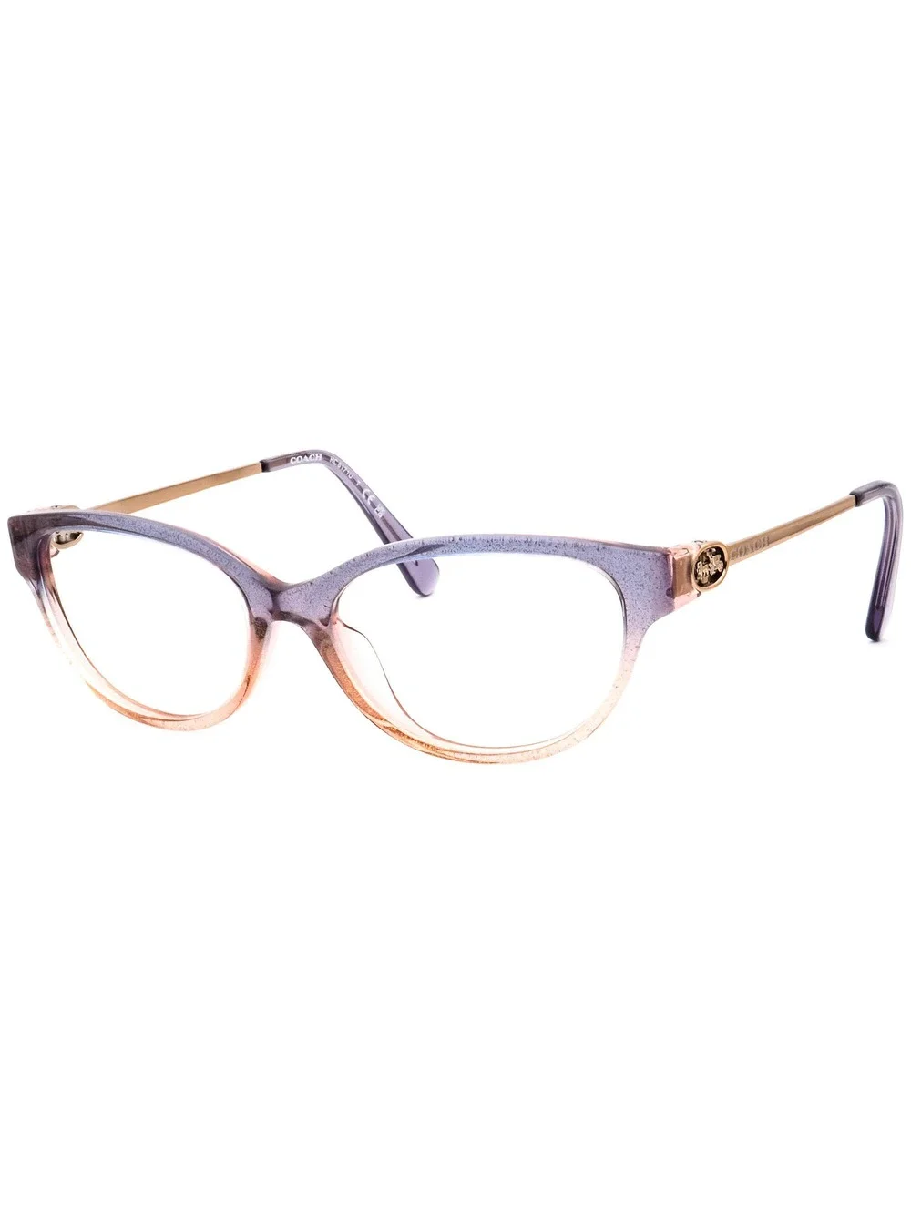 Coach HC 6171U 5554 Eyewear